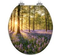 Soft Quiet Close Round Resin Toilet Seat Decorative Norfolk Bluebell Sunrise Quick Release Hinges Cover Bumpers Easy to Install Clean
