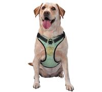 Soft Sage Green And Gold Celtic Mandala,Pet Harness,Adjustable Reflective Dog Harness,Pet Leash Vest,XL