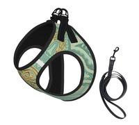 Soft Sage Green And Gold Celtic Mandala,Pet Harness,Adjustable Reflective Dog Harness,Pet Leash Vest,M