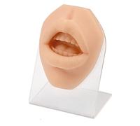 Soft Silicone Mouth Model for Suture Practice - Reusable Dental Display with Teeth for Perforation and Puncture Training