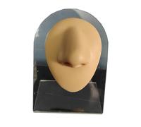 Soft Silicone Nose Model - Realistic Flexible Fake Nose for Jewelry Display, Suture Practice, and Teaching Tool