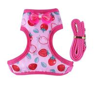 Soft Small Animal Harness And Leash For Duckling With Fruit Pattern Hamster Lead Supplies