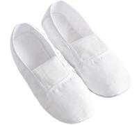 Soft-Soled Shoes Dance Ballerina Professional Ballet Practice Girls Slippers Dancer Shoe for Dance Performance Gymnastics(44) White
