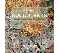 Soft Succulents: Aeoniums, Echeverias, Crassulas, Sedums, Kalanchoes, and related plants