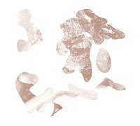 Soft Tissue - Hi Leaves [VINYL]