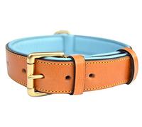 Soft Touch Collars Leather Padded Dog Collar, Large Tan with Teal Padding, Real Genuine Leather, 24" Long x 1.5" Wide, Neck Size 18" to 21"