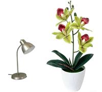 Soft Touch Fake Cymbidium Orchid Potted Plant, Realistic Handcrafted Artificial Flower in 9.5x34cm Pot for Home, Wedding, Tabletop Decor()
