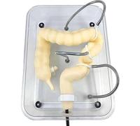 Soft Virtual Colonoscopy Training Model for Medical Nursing - Realistic Colon Examination