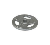 Softee Iron Plate 20kg Silver