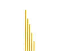 Softee Pvc 160 Cm Slalom Pole