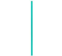Softee Pvc 160 Cm Slalom Pole