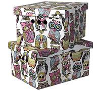SOFTILLO Cardboard Storage Boxes with Lid Decorative Wardrobe, Closet, Home & Office Organiser with Handle Flat-Packed, Stackable File Box Gift for Adults & Kids Set of 2 XLarge Owls