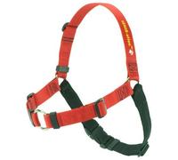 Softouch Sense-ation No-Pull Dog Harness (Red, Extra Small)