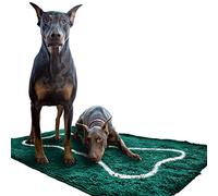 Soggy Doggy Doormat with Bone Design, Microfiber Chenille Indoor Wet Dog Mat for Muddy Paws and Drying, Ultra-Absorbent Dog Mats for Sleeping and Lounging, Evergreen/Oatmeal Bone