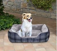 Sogni e Capricci Bedpet, Willy, 84x66x19cm