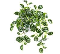 SOGUYI Artificial Plant Decorative Modern Living Room Balcony Bedroom Bathroom Room Table Decoration (Pack of 1)