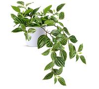 SOGUYI Fake Plants 25cm Artificial Plants Mini Fake Plants Small Artificial Plants in Pots for Home Decor Indoor for Office Desk Living Room Apartment Bathroom Kitchen Balcony
