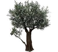 Sohodoo Large Faux Olive Tree 6-10ft, Fake Olive Tree for Home House Office Décor, Olive Trees Artificial Indoor Plant with Natural Wood Trunk and Realistic Leaves and Fruit(A,7ft)