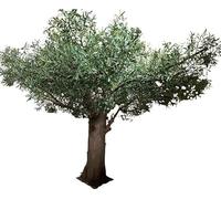 Sohodoo Large Faux Olive Tree 6-10ft, Fake Olive Tree for Home House Office Décor, Olive Trees Artificial Indoor Plant with Natural Wood Trunk and Realistic Leaves and Fruit(B,7ft)