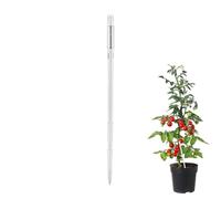 Soil Moisture Sensor - Plant Moisture Meter Reuusable Color Changing Battery Free Tester, Simple Soil Water Indicator Stick