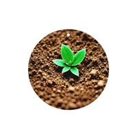 Soil Plants Grow Pattern Car Air Fresheners 4 Pcs Round Shape Hanging Aromatherapy Tablets Scented Fresheners For Bedroom Bathroom