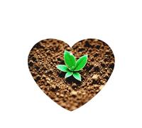 Soil Plants Grow Pattern Car Air Fresheners 6 Pcs Heart Shape Hanging Aromatherapy Tablets Scented Fresheners For Bedroom Bathroom