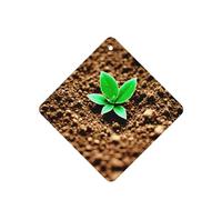 Soil Plants Grow Pattern Car Air Fresheners 6 Pcs Square Hanging Aromatherapy Tablets Scented Fresheners For Bedroom Bathroom