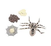 SOIMISS 1 Set Simulation Animal Evolution Model Realistic Spider Ladybug Cycle for Educational Party Decorations for Learning Storytelling Pretend Play