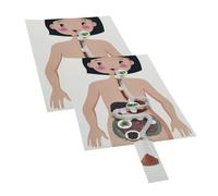 SOIMISS 2 Sets DIY Human Digestive System Models Educational Science Experiment Kit for Interactive Biology Puzzle Enhancing Motor Skills and Critical Thinking