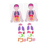 SOIMISS 2 Sets DIY Organs of Creative Human Organ Models for Learning Play Educational Anatomy Playthings for Enhance Imagination Cognitive Skills
