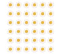 SOIMISS 60pcs Real Pressed Dried Daisy Flowers White Natural Mini Blooms for DIY Jewelry Pendant Craft Scrapbooking