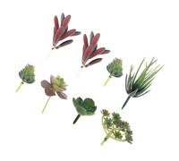 SOIMISS 8 Pcs Artificial Succulent Plant Decor Vivid Faux Succulents for Wedding Home Office Decoration and Compact Floral Arrangement Supplies