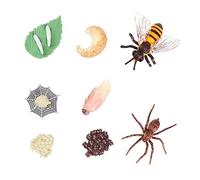 SOIMISS 8Pcs Educational Insect Evolution Model Realistic Bee Growth Cycle Decorations for Educational Display Models for Imaginative Play and Learning