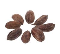 SOIMISS 8pcs Natural Dried Fruit Parrot Chew for Birds Pet Foraging Biting Shredding for Budgies Conures Cockatiels Cage Accessories