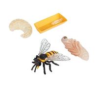 SOIMISS Bee Life Cycle Model for Educational Cognitive Kit Realistic Plastic Bee Display Models Early Childhood Biology Learning Nature Exploration Tool