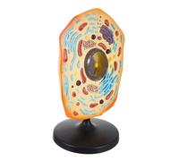 SOIMISS Biology Animal Cell Model Realistic Educational Display for Teaching and Research Anatomical Details for Classroom Use for Students and Laboratories