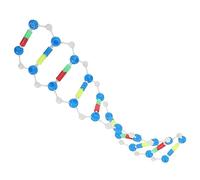 SOIMISS Double Helix Model Components Molecular Exact Model Kit Modeling Science Models for Classroom Miniature Strand Double Helix Models Craftsmanship Double Model Model Plastic