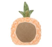 SOIMISS House and Rest Resting for Use Pineapple Shape Comfortable Hamster Ceramic Hideout Place Wear-resistant Small Pet Daily