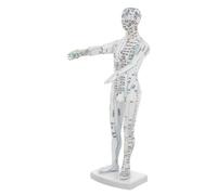 SOIMISS Male Human Acupuncture Model with Clear Meridian Points Educational Chinese Body Simulation Tool for Acupoint Learning and Pressure Point Training