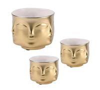 SOIMISS Modern Simplicity Ceramic Flower Pot in Golden Painted Pottery, Cold-resistant and High-strength Planter for Balcony and Office Décor with Concise Design