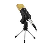 SOIMISS Professional Condenser Microphone Stand Rack and Reverberation Echo Function, Golden Studio Recording Broadcast Mic for Podcast and Webcast