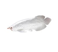 SOIMISS Realistic Artificial Freshwater Fish Model Vivid Simulation Decor for Childrens Cognitive Play Educational Animal with Texture Desktop Ornament for Home and Office