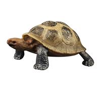 SOIMISS Realistic Land Tortoise Model PVC Plastic Figurine Educational Cognitive for Detailed Animal Learning Aid for Boys and Wild Turtle for Early Development and Imaginative Play