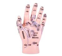 SOIMISS Reflexology Hand Model with Markings for Tcm Education and Massage Practice Authentic Hand Zone Simulation for Acupuncture Learning Suitable for Medical Institutions and Massage