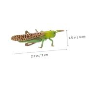 SOIMISS Simulation Life Cycle Model for Realistic Locust Growth Cycle Cognitive Educational Plastic Figure Natural Science Teaching Aid for Curiosity and Imagination Development