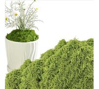 soitzhoc fake moss Imitation | For Indoor and Outdoor Planters artificial moss, Landscaping | Suitable for Handicrafts, Floral Arrangements, and Landscape Model Decorations (50g)