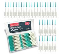 SOL 250pcs Dental Floss Picks, Green Silicone Sticks and Interdental Tooth Brushes for Human Teeth Cleaning, Plastic Toothpicks with Dual Design, Non-Slip Handle, Portable Tool for Teeth Care Flossing