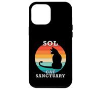Sol Cat Sanctuary Group Family Reunion Name Case for iPhone 12 Pro Max