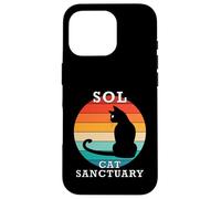 Sol Cat Sanctuary Group Family Reunion Name Case for iPhone 16 Pro