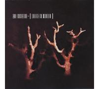 Sol Invictus - Trees in Winter